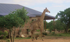 Mkhiweni Villa at Dombeya Wildlife Estate